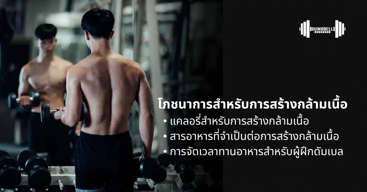 โภชนาการสำหรับสร้างกล้ามเนื้อ ด้วยดัมเบล